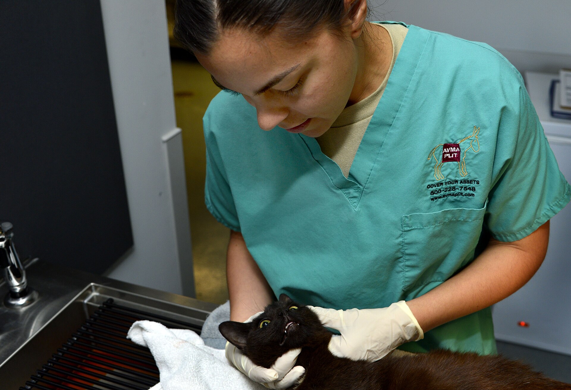 Veterinária de uniforme verde examinando um gato preto
